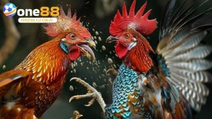 Đá Gà Cựa Sắt